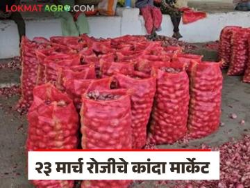 Kanda Market : उन्हाळ कांदा आवक वाढली, लासलगाव, पिंपळगाव, देवळा मार्केटमध्ये दरात किती रुपयांचा फरक? - Marathi News | latest news Kanda Market Average Onion Prices in lasalgav, pimpalgaon, deola market yard Check Today's Market Rates | Latest News at Lokmat.com Kanda Market : उन्हाळ कांदा आवक वाढली, लासलगाव, पिंपळगाव, देवळा मार्केटमध्ये दरात किती रुपयांचा फरक? - Marathi News | latest news Kanda Market Average Onion Prices in lasalgav, pimpalgaon, deola market yard Check Today's Market Rates | Latest News at Lokmat.com