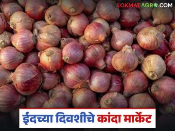 कांद्याच्या वाढीव दराचे घोडे कुठे अडकले, रमजान ईदच्या दिवशी कांद्याला काय दर मिळाले? - Marathi News | Latest news kanda bajarbhav what price did onions get on the day of Ramadan Eid 2026 | Latest News at Lokmat.com कांद्याच्या वाढीव दराचे घोडे कुठे अडकले, रमजान ईदच्या दिवशी कांद्याला काय दर मिळाले? - Marathi News | Latest news kanda bajarbhav what price did onions get on the day of Ramadan Eid 2026 | Latest News at Lokmat.com