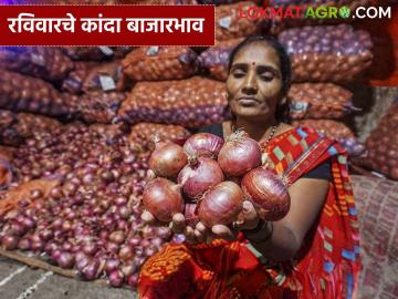 Kanda Market : या मार्केटमध्ये उन्हाळ कांद्याची आवक थांबली, लाल कांद्याचे दर कसे आहेत?  - Marathi News | Latest news Kanda Market Todays Lal kanda bajarbhav in dharashiv market see details | Latest News at Lokmat.com