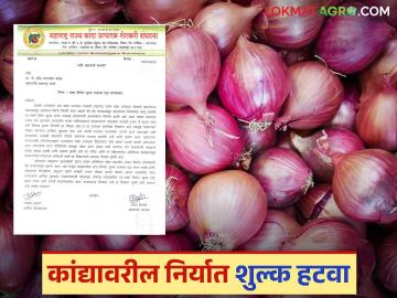 Kanda Niryat Shulk : शेतकऱ्यांच्या डोळ्यांत पाणी, कांद्यावरील निर्यातशुल्क शून्य करा, वाचा सविस्तर  - Marathi News | Latest News Kanda Niryat Shulk make export duty on onions zero, read in detail | Latest News at Lokmat.com