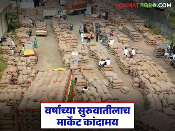 वर्षाच्या सुरुवातीलाच बाजार झाला कांदामय, निर्यातीतही होतेय वाढ; भविष्यात कसे राहतील दर? - Marathi News | The market became saturated with onions at the beginning of the year, exports are also increasing; How will the prices be in the future? | Latest News at Lokmat.com वर्षाच्या सुरुवातीलाच बाजार झाला कांदामय, निर्यातीतही होतेय वाढ; भविष्यात कसे राहतील दर? - Marathi News | The market became saturated with onions at the beginning of the year, exports are also increasing; How will the prices be in the future? | Latest News at Lokmat.com