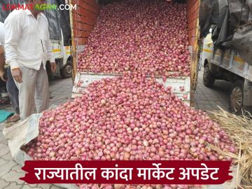 Kanda Market : नाशिकपेक्षा अमरावती फळ- भाजीपाला मार्केटमध्ये कांद्याला समाधानकारक दर, वाचा सविस्तर  - Marathi News | Latest News Kanda Market Satisfactory price of onions in Amravati market compared to Nashik, read in detail | Latest News at Lokmat.com