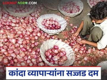 पणनमंत्री जयकुमार रावल यांनी कांदा व्यापाऱ्यांना दिला सज्जड दम, नेमकं काय म्हणाले? - Marathi News | Latest news Kanda Market Issue Marketing Minister Jayakumar Rawal gave strong message to onion traders | Latest News at Lokmat.com पणनमंत्री जयकुमार रावल यांनी कांदा व्यापाऱ्यांना दिला सज्जड दम, नेमकं काय म्हणाले? - Marathi News | Latest news Kanda Market Issue Marketing Minister Jayakumar Rawal gave strong message to onion traders | Latest News at Lokmat.com