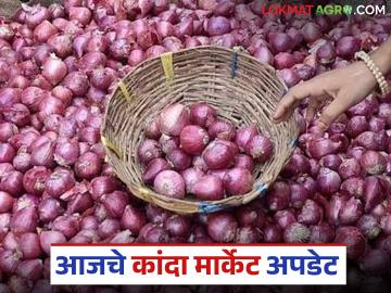 Kanda Market : लासलगावसह पारनेर बाजारात उन्हाळ कांद्याला चांगला दर मिळतोय, वाचा सविस्तर - Marathi News | Latest News Kanda Market Todays Unhal Kanda Market in lasalgoan and parner kanda market | Latest News at Lokmat.com Kanda Market : लासलगावसह पारनेर बाजारात उन्हाळ कांद्याला चांगला दर मिळतोय, वाचा सविस्तर - Marathi News | Latest News Kanda Market Todays Unhal Kanda Market in lasalgoan and parner kanda market | Latest News at Lokmat.com
