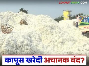 Kapus Kharedi : स्लॉट संपले, केंद्र बंद; कापूस विक्री ठप्प वाचा सविस्तर - Marathi News | latest news Kapus Kharedi: Slots are over, centers are closed; Cotton sales are at a standstill Read in detail | Latest News at Lokmat.com