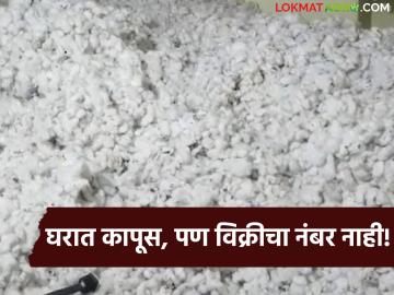 Kapus Kharedi : शेतकरी कापूस विक्रीसाठी रांगेत; पण 'सीसीआय' केंद्र फक्त ७ दिवसच सुरू - Marathi News | latest news Kapus Kharedi: Farmers queue to sell cotton; but 'CCI' center opens for only 7 days | Latest News at Lokmat.com Kapus Kharedi : शेतकरी कापूस विक्रीसाठी रांगेत; पण 'सीसीआय' केंद्र फक्त ७ दिवसच सुरू - Marathi News | latest news Kapus Kharedi: Farmers queue to sell cotton; but 'CCI' center opens for only 7 days | Latest News at Lokmat.com