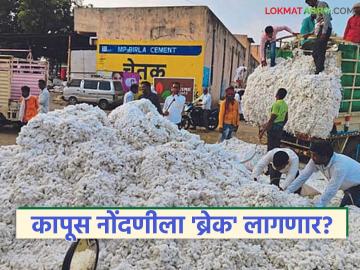 Kapus Kharedi : सीसीआय कापूस नोंदणीला ३१ डिसेंबरचा ब्रेक; ऑफलाइन प्रक्रिया ठरणार का फसवी? - Marathi News | latest news Kapus Kharedi: CCI cotton registration to break on December 31; Will the offline process be fraudulent? | Latest News at Lokmat.com