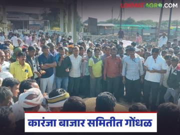 Karanja Market : सोयाबीनला कमी भाव; कारंजा बाजार समितीत पुन्हा गोंधळ वाचा सविस्तर - Marathi News | latest news Karanja Market : Low prices for soybeans; Confusion again in Karanja Market Committee Read in detail | Latest News at Lokmat.com Karanja Market : सोयाबीनला कमी भाव; कारंजा बाजार समितीत पुन्हा गोंधळ वाचा सविस्तर - Marathi News | latest news Karanja Market : Low prices for soybeans; Confusion again in Karanja Market Committee Read in detail | Latest News at Lokmat.com