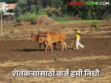 पीएम किसान सन्मान निधी नंतर येतेय ही योजना शेतकऱ्यांना होणार सहज कर्ज उपलब्ध - Marathi News | This scheme comes after PM Kisan Samman Nidhi which will provide easy loans to farmers | Latest News at Lokmat.com