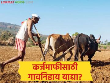 कर्जमाफी योजनेसाठी गावनिहाय याद्या जाहीर? कोणते शेतकरी पात्र होतील, तहसीलदारांना निवेदन - Marathi News | Village-wise lists announced for loan waiver scheme? Which farmers are eligible and ineligible, statement to Tehsildars | Latest News at Lokmat.com