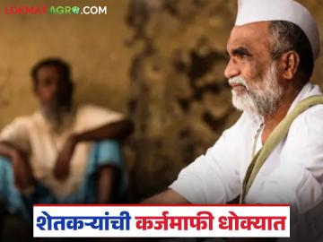 तुमचा आधार आणि बँक तपशील दिला का, बँकेचा अल्टिमेटम; कर्जमाफीसाठी आता शेवटची संधी - Marathi News | Latest news Did you give your Aadhaar and bank details, bank's ultimatum for loan waiver | Latest News at Lokmat.com