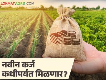 शेतकरी कर्जमाफी योजनेच्या प्रक्रियेनंतरच नवीन पीक कर्जाचे वितरण, जाणून घ्या सविस्तर शेतकरी कर्जमाफी योजनेच्या प्रक्रियेनंतरच नवीन पीक कर्जाचे वितरण, जाणून घ्या सविस्तर