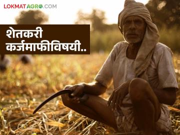 Karjmafi : शेतकरी कर्जमाफीची रक्कम सहा आठवड्यांत द्या, असं का म्हणाले उच्च न्यायालय? - Marathi News | Latest News shetkari Karjmafi Pay farmer loan waiver amount within six weeks says High Court? | Latest News at Lokmat.com Karjmafi : शेतकरी कर्जमाफीची रक्कम सहा आठवड्यांत द्या, असं का म्हणाले उच्च न्यायालय? - Marathi News | Latest News shetkari Karjmafi Pay farmer loan waiver amount within six weeks says High Court? | Latest News at Lokmat.com