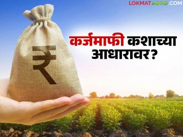 कर्जमाफी नक्की कशाच्या आधारावर दिली जाणार; शेतकऱ्यांची कोणकोणती माहिती घेतली जाणार? - Marathi News | On what basis will loan waiver be given; what information will be collected from farmers? | Latest News at Lokmat.com कर्जमाफी नक्की कशाच्या आधारावर दिली जाणार; शेतकऱ्यांची कोणकोणती माहिती घेतली जाणार? - Marathi News | On what basis will loan waiver be given; what information will be collected from farmers? | Latest News at Lokmat.com