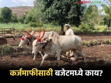 अर्थसंकल्पात कर्जमाफीची घोषणा; थकीत व नियमित परतफेड करणाऱ्या शेतकऱ्यांना कसा होणार लाभ? - Marathi News | Loan waiver announced in the budget; How will farmers who are in arrears and repaying regularly get the benefit? | Latest News at Lokmat.com अर्थसंकल्पात कर्जमाफीची घोषणा; थकीत व नियमित परतफेड करणाऱ्या शेतकऱ्यांना कसा होणार लाभ? - Marathi News | Loan waiver announced in the budget; How will farmers who are in arrears and repaying regularly get the benefit? | Latest News at Lokmat.com