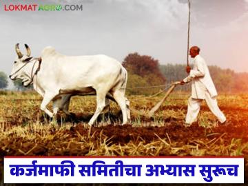 सरकारला 'हा' अहवाल सादर केल्यावरच कर्जमाफीचे निकष स्पष्ट होणार; नक्की अहवालात आहे तरी काय? - Marathi News | The criteria for loan waiver will be clear only after this report is submitted to the government; what exactly is in the report? | Latest News at Lokmat.com सरकारला 'हा' अहवाल सादर केल्यावरच कर्जमाफीचे निकष स्पष्ट होणार; नक्की अहवालात आहे तरी काय? - Marathi News | The criteria for loan waiver will be clear only after this report is submitted to the government; what exactly is in the report? | Latest News at Lokmat.com