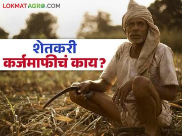 Shetkari Karjmafi : शेतमालाला भाव नाही, कर्ज फेडायचं कसं? शेतकरी कर्जमाफी मिळणार की नाही?  - Marathi News | Latest News agriculture News Dcm ajit pawar Shetkari Karjmafi Farmers are waiting for loan waiver | Latest News at Lokmat.com
