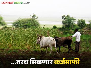 कर्जमाफी योजनेचा लाभ घ्यायचा असेल तर शेतकऱ्यांनो तातडीने 'ही' नोंदणी करा; जाणून घ्या सविस्तर - Marathi News | If you want to take advantage of the loan waiver scheme, farmers should register immediately; know the details | Latest News at Lokmat.com कर्जमाफी योजनेचा लाभ घ्यायचा असेल तर शेतकऱ्यांनो तातडीने 'ही' नोंदणी करा; जाणून घ्या सविस्तर - Marathi News | If you want to take advantage of the loan waiver scheme, farmers should register immediately; know the details | Latest News at Lokmat.com