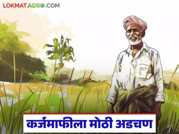 कर्जमाफीसाठी विकास संस्थांना शेतकऱ्यांची माहिती देताना 'ही' बाब ठरतेय मोठी अडचण; वाचा सविस्तर - Marathi News | This is a major problem while providing information about farmers to development agencies for loan waiver; Read in detail | Latest News at Lokmat.com