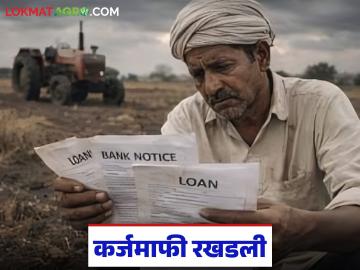 Karjamafi : कर्जमाफी मिळणार तरी कधी? शेतकरी वाट पाहतोय! - Marathi News | latest news Karjamafi: When will we get loan waiver? Farmers are waiting! | Latest News at Lokmat.com