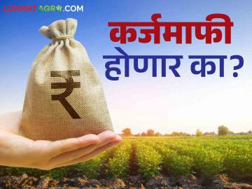 Pik Karj Mafi : पीक कर्ज भरण्यासाठी अल्प प्रतिसाद; कर्जमाफी होणार का? वाचा सविस्तर - Marathi News | Pik Karj Mafi : Low response to pay crop loans; Will there be a loan waiver? Read in detail | Latest News at Lokmat.com