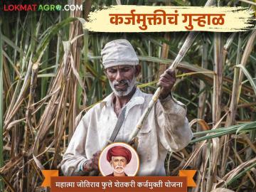 पीक कर्जाची नियमित परतफेड करणाऱ्या लाडक्या शेतकऱ्यांना कधी मिळणार प्रोत्साहनपर अनुदान - Marathi News | When will the beloved farmers who regularly repay the crop loan get incentive subsidy | Latest News at Lokmat.com पीक कर्जाची नियमित परतफेड करणाऱ्या लाडक्या शेतकऱ्यांना कधी मिळणार प्रोत्साहनपर अनुदान - Marathi News | When will the beloved farmers who regularly repay the crop loan get incentive subsidy | Latest News at Lokmat.com