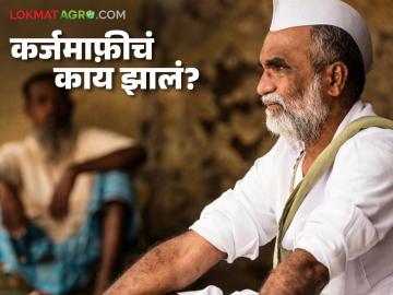 कर्जमाफीबाबत मोठी अपडेट, शासनाला अहवाल सादर, मंत्रिमंडळ बैठकीत अंतिम निर्णय होणार  - Marathi News | latest News report submitted to the government, decision on loan waiver in cabinet meeting | Latest farming-ideas News at Lokmat.com