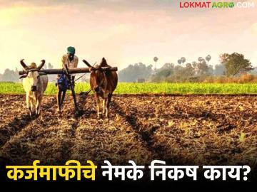 Karj Mafi : पीक कर्ज सोडून शेतीशी निगडीत मुदतीच्या कर्जांना कर्जमाफीचा लाभ होणार का? - Marathi News | Karj Mafi : Will term loans related to agriculture, other than crop loans, benefit from loan waiver? | Latest News at Lokmat.com Karj Mafi : पीक कर्ज सोडून शेतीशी निगडीत मुदतीच्या कर्जांना कर्जमाफीचा लाभ होणार का? - Marathi News | Karj Mafi : Will term loans related to agriculture, other than crop loans, benefit from loan waiver? | Latest News at Lokmat.com