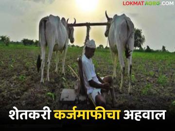 Shetkari Karjmafi : शेतकरी कर्जमाफीचा अहवाल राज्य सरकारकडे, कर्जमाफी देताना याचाही विचार होणार - Marathi News | Latest News shetkari karjmafi Farmer loan waiver report to be submitted to state government, | Latest farming-ideas News at Lokmat.com
