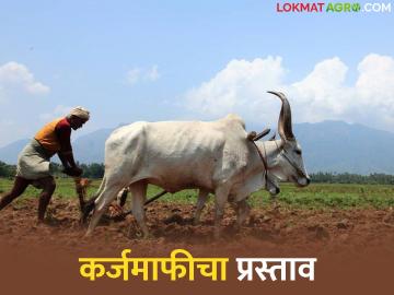 शेतकऱ्यांच्या संपूर्ण कर्जमाफीचा कोणताही प्रस्ताव विचाराधीन नाही, वाचा कोण म्हणाले? - Marathi News | Latest News No proposal for complete loan waiver of farmers is under consideration says nirmala sitaraman | Latest News at Lokmat.com शेतकऱ्यांच्या संपूर्ण कर्जमाफीचा कोणताही प्रस्ताव विचाराधीन नाही, वाचा कोण म्हणाले? - Marathi News | Latest News No proposal for complete loan waiver of farmers is under consideration says nirmala sitaraman | Latest News at Lokmat.com