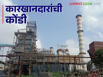 Sugar Market : साखरेचे दर कमी झाल्यामुळे कारखानदारांची आर्थिक कोंडी - Marathi News | Sugar Market : Financial crisis of sugarcane factories due to decrease in sugar prices | Latest News at Lokmat.com