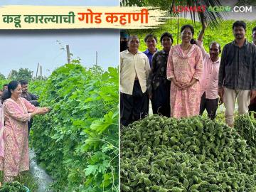 Vegetable Farming : चार एकरांवर भाजीपाल्याची यशस्वी शेती, महिला शेतकऱ्याचा प्रयोग चर्चेत - Marathi News | Latest News Vegetable Farming Successful vegetable farming on four acres read success story | Latest News at Lokmat.com