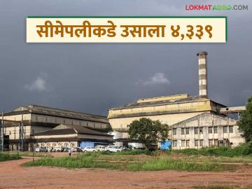 सीमेपलीकडे कर्नाटकातील 'हा' साखर कारखाना उसाला देतोय तब्बल ४,३३९ रुपये दर; वाचा सविस्तर सीमेपलीकडे कर्नाटकातील 'हा' साखर कारखाना उसाला देतोय तब्बल ४,३३९ रुपये दर; वाचा सविस्तर