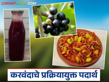 करवंदापासून तयार करा लोणचे व सिरप आणि सुरु करा आपला प्रक्रिया उद्योग - Marathi News | Make pickles and syrup from karonda and start your own processing industry | Latest News at Lokmat.com करवंदापासून तयार करा लोणचे व सिरप आणि सुरु करा आपला प्रक्रिया उद्योग - Marathi News | Make pickles and syrup from karonda and start your own processing industry | Latest News at Lokmat.com