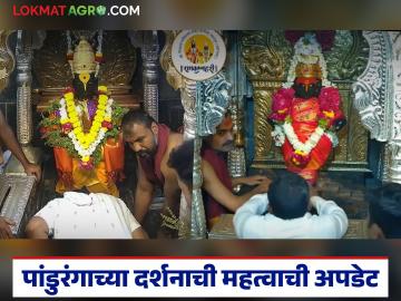 कार्तिकीच्या पार्श्वभूमीवर जिल्हाधिकाऱ्यांचे आदेश; आता सर्वसामान्य भाविकांना मिळणार समानतेने दर्शन - Marathi News | District Collector's orders in the backdrop of Kartiki; Now common devotees will get equal darshan | Latest News at Lokmat.com