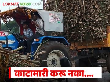 शेतकऱ्यांनो, उसाच्या वजन काट्यात तफावत, काटामारी करून कारखाने खिसे भरताय का? - Marathi News | Latest News Sakhar karkhane Sugar factories should use AI technology on weighing scales | Latest News at Lokmat.com शेतकऱ्यांनो, उसाच्या वजन काट्यात तफावत, काटामारी करून कारखाने खिसे भरताय का? - Marathi News | Latest News Sakhar karkhane Sugar factories should use AI technology on weighing scales | Latest News at Lokmat.com