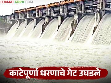 Katepurna Dam Water Release : काटेपूर्णा धरणाचे आठ गेट उघडले; किती क्युमेक्स पाण्याचा विसर्ग सुरू वाचा सविस्तर - Marathi News | latest news Katepurna Dam Water Release: Eight gates of Katepurna Dam opened; How many cumex of water is being released? Read in detail | Latest News at Lokmat.com Katepurna Dam Water Release : काटेपूर्णा धरणाचे आठ गेट उघडले; किती क्युमेक्स पाण्याचा विसर्ग सुरू वाचा सविस्तर - Marathi News | latest news Katepurna Dam Water Release: Eight gates of Katepurna Dam opened; How many cumex of water is being released? Read in detail | Latest News at Lokmat.com