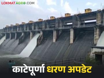 Katepurna Dam Water Release : काटेपूर्णा धरणाचे दोन दरवाजे उघडले; नदीपात्रात १०२.३३ क्यूमेक्स विसर्ग - Marathi News | latest news Katepurna Dam Water Release: Two gates of Katepurna Dam opened; 102.33 cumex released into the riverbed | Latest News at Lokmat.com