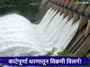 Katepurna Dam Water Level : काटेपूर्णा धरण परिसरात मुसळधार पाऊस; सर्व १० दरवाजे प्रथमच एकाच वेळी उघडले! वाचा सविस्तर - Marathi News | latest news Katepurna Dam Water Level: Heavy rain in Katepurna Dam area; All 10 gates opened simultaneously for the first time! | Latest News at Lokmat.com