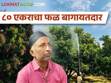 अबिदअली काझी यांनी नोकरीच्या मागे न धावता फळशेतीला दिली पसंती - Marathi News | Abid Ali Qazi chose fruit farming instead of running after a job | Latest News at Lokmat.com