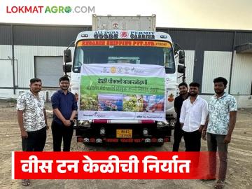 पुण्यातील FPC ने SMART प्रोजेक्ट अंतर्गत 20 टन केळी दुबईला निर्यात, 100 एकरांवर उत्पादन  - Marathi News | Latest News keli niryat Pune's FPC exports 20 tonnes of bananas to Dubai under SMART project | Latest News at Lokmat.com