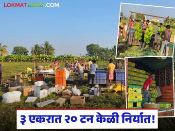 Farmer Success Story : हरुण शेख यांची प्रगत शेती चमकली; आष्टीची केळी थेट इराणमध्ये वाचा सविस्तर - Marathi News | latest news Farmer Success Story: Harun Sheikh's advanced farming shines; Ashti's bananas directly to Iran Read in detail | Latest News at Lokmat.com