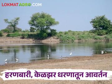 Water Discharged : हरणबारी, केळझर धरणातून अखेरचे आवर्तन, 'या' गावांना मिळणार पाणी  - Marathi News | Latest News last water circulation from Kelzar and haranbari Dam of nashik district | Latest News at Lokmat.com