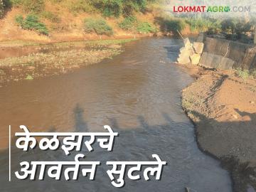 Agriculture News : केळझर, हरणबारीमधून यंदा रब्बीसाठी दोन आवर्तने; 'या' गावांना लाभ, वाचा सविस्तर - Marathi News | Latest News Agriculture News Two rotations for Rabi year from Keljar, Haranbari dam read in detail | Latest News at Lokmat.com