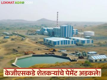 नाशिकच्या 'या' साखर कारखान्याकडे 130 शेतकऱ्यांचे सव्वा कोटी रुपये थकीत, वाचा सविस्तर - Marathi News | Latest News kgs sugar factory in Nashik owes Rs 1.25 crore to 130 farmers, read in detail | Latest News at Lokmat.com नाशिकच्या 'या' साखर कारखान्याकडे 130 शेतकऱ्यांचे सव्वा कोटी रुपये थकीत, वाचा सविस्तर - Marathi News | Latest News kgs sugar factory in Nashik owes Rs 1.25 crore to 130 farmers, read in detail | Latest News at Lokmat.com