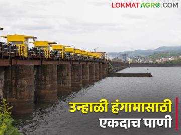 खडकवासला कालव्यावरील ६० हजार हेक्टर शेती संकटात - Marathi News | 60 thousand hectares of agriculture on Khadakwasla canal is in crisis | Latest News at Lokmat.com