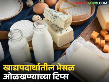 सणासुदीच्या दिवसांत कोणत्या खाद्यपदार्थात अधिक भेसळ होऊ शकते? आणि ती कशी ओळखायची? - Marathi News | Which food items are most likely to be adulterated during the festive season? and how to identify them? | Latest News at Lokmat.com सणासुदीच्या दिवसांत कोणत्या खाद्यपदार्थात अधिक भेसळ होऊ शकते? आणि ती कशी ओळखायची? - Marathi News | Which food items are most likely to be adulterated during the festive season? and how to identify them? | Latest News at Lokmat.com