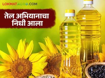 खादय तेल अभियानातंर्गत तिन्ही प्रवर्गासाठी दुसऱ्या हप्त्याचा हिस्सा आला, कुणाला किती मिळणार?  - Marathi News | Latest News The second installment of the food oil campaign has arrived for all three categories | Latest News at Lokmat.com