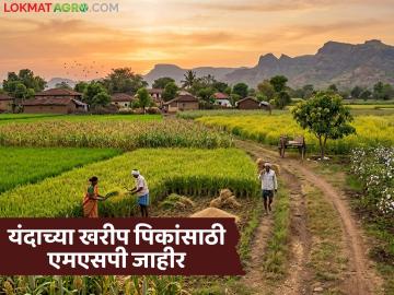 खरीपातील १४ पिकांच्या किमान आधारभूत किमतींना केंद्रीय मंत्रिमंडळाची मंजुरी; वाचा किती झाली वाढ? - Marathi News | Union Cabinet approves minimum support prices for 14 Kharif crops; Read how much has been increased? | Latest News at Lokmat.com