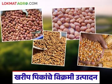 खरीपातील प्रमुख पिकांच्या उत्पादनाचा पहिला अग्रिम अंदाज जाहीर; उत्पादनात विक्रमी वाढ - Marathi News | First advance estimate of production of major Kharif crops announced; Record increase in production | Latest News at Lokmat.com खरीपातील प्रमुख पिकांच्या उत्पादनाचा पहिला अग्रिम अंदाज जाहीर; उत्पादनात विक्रमी वाढ - Marathi News | First advance estimate of production of major Kharif crops announced; Record increase in production | Latest News at Lokmat.com